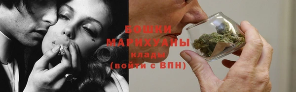 спайс Рославль