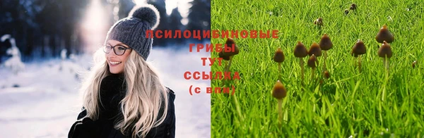 гашиш Алексеевка