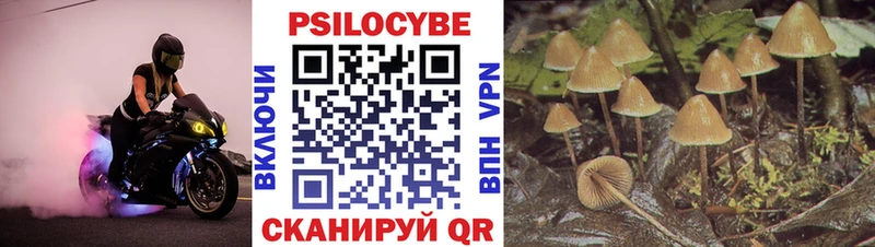 даркнет наркотические препараты  МЕГА зеркало  Буй  Псилоцибиновые грибы мухоморы 